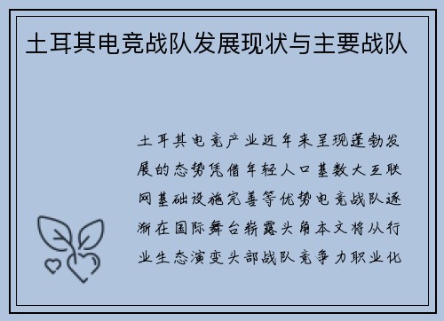 土耳其电竞战队发展现状与主要战队